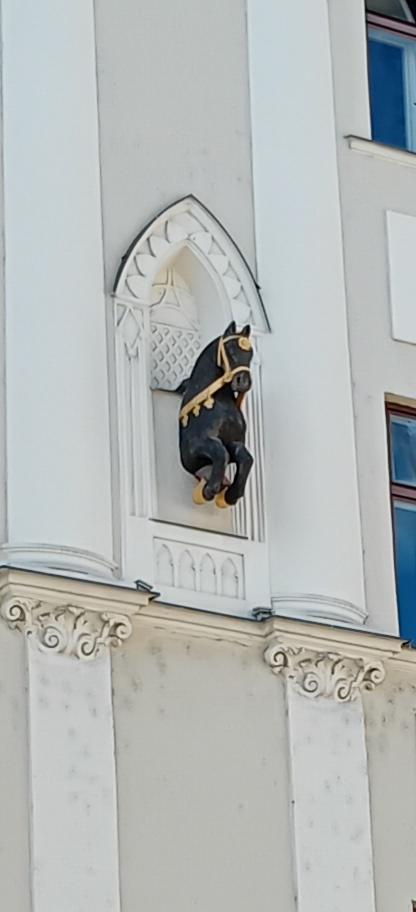 J. Králová: Groteska, Horní nám. Olomouc. K černému koni, který vypadá, že vyskakuje ze stěny, se váže táto pověst. V domě, na kterém je černý kůň kdysi sloužila děvečka, která se zamilovala do jednoho mládence. Ten si ji nevšímal. Šla na radu k bylinkářce a od ní dostala bylinky, které měla svařit ve vodě a nechat dotyčnému mládenci vypít pohár tohoto nápoje. Děvečka bylinky uvařila a nápoj nechala v chodbě, aby vychladl. Černý kůň, který tam stál, ten nápoj vypil. Sotva pak spatřil děvečku, ihned se k ní rozběhl, oči mu zářily a nozdry se chvěly. Děvečka se polekala a utíkala do patra a kůň za ní. Nevěděla, co má dělat, a tak vyskočila oknem ven a kůň za ní, ale když byl polovičkou svého těla venku, najednou zkameněl a tak je tam doposud.