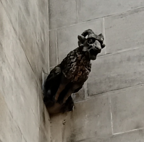 J. Králová: Chrlič na chrámu sv. Václava v Olomouci