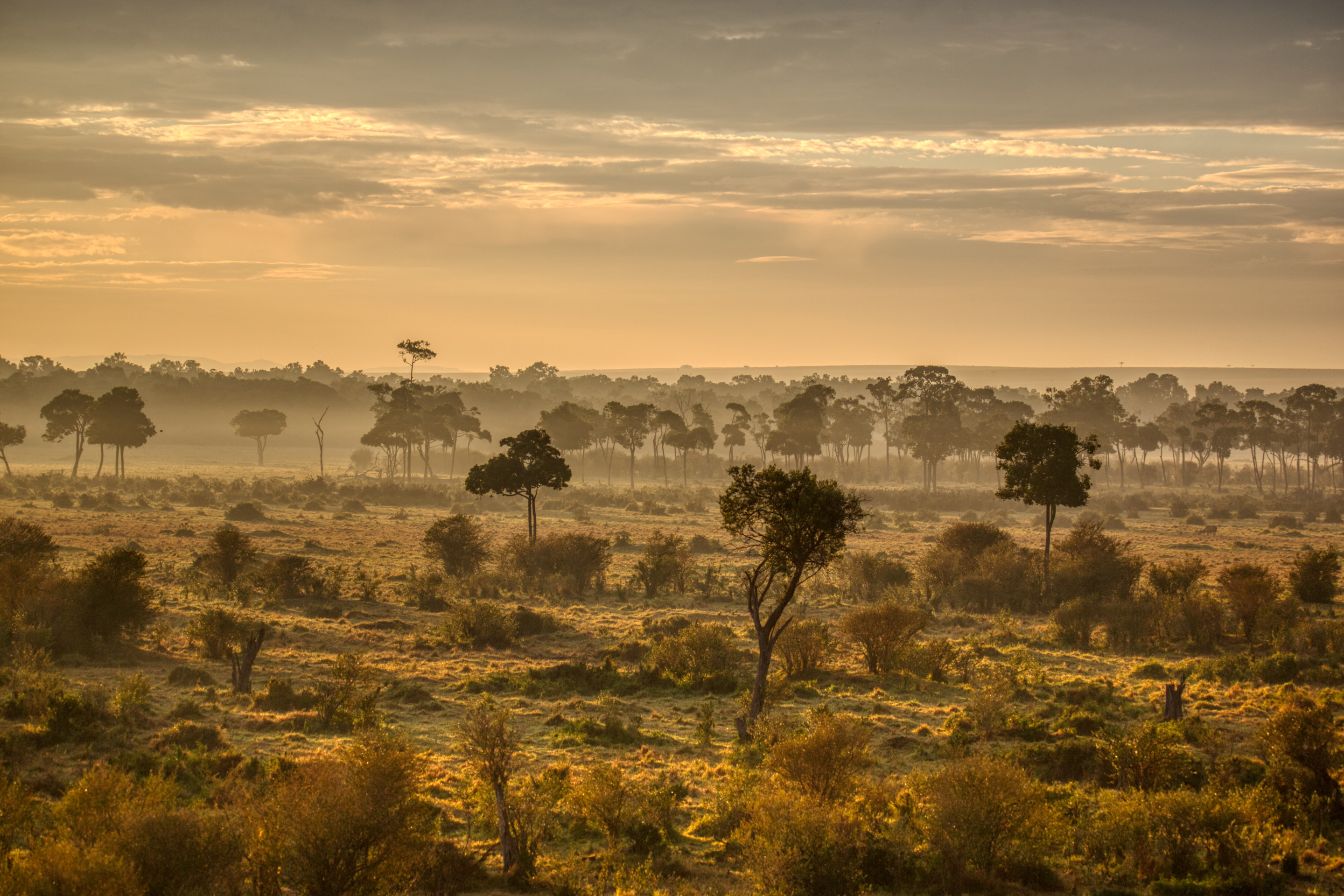 20161126 063853 0321